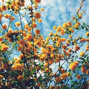 Meet your Posher, Jade